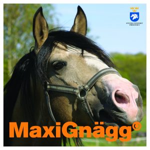 MaxiGnägg